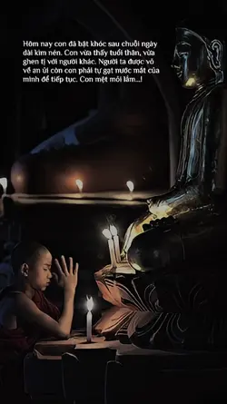 Caption & màu 