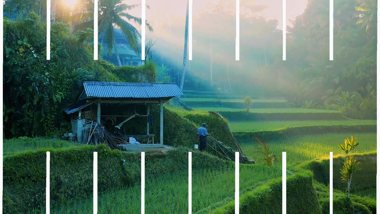 Datar 4 video