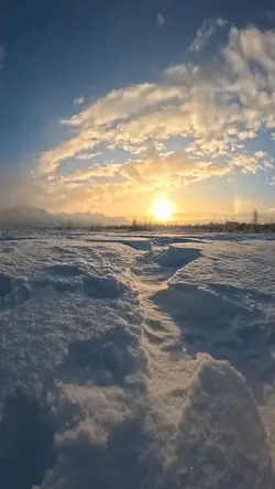 winter | nature