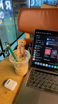 Cat Cute dance