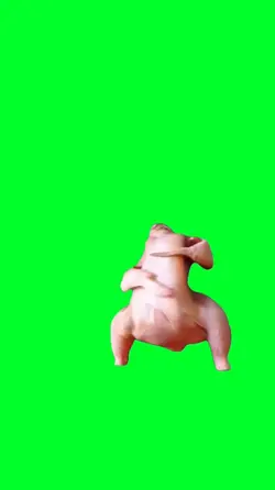 Dancing turkey