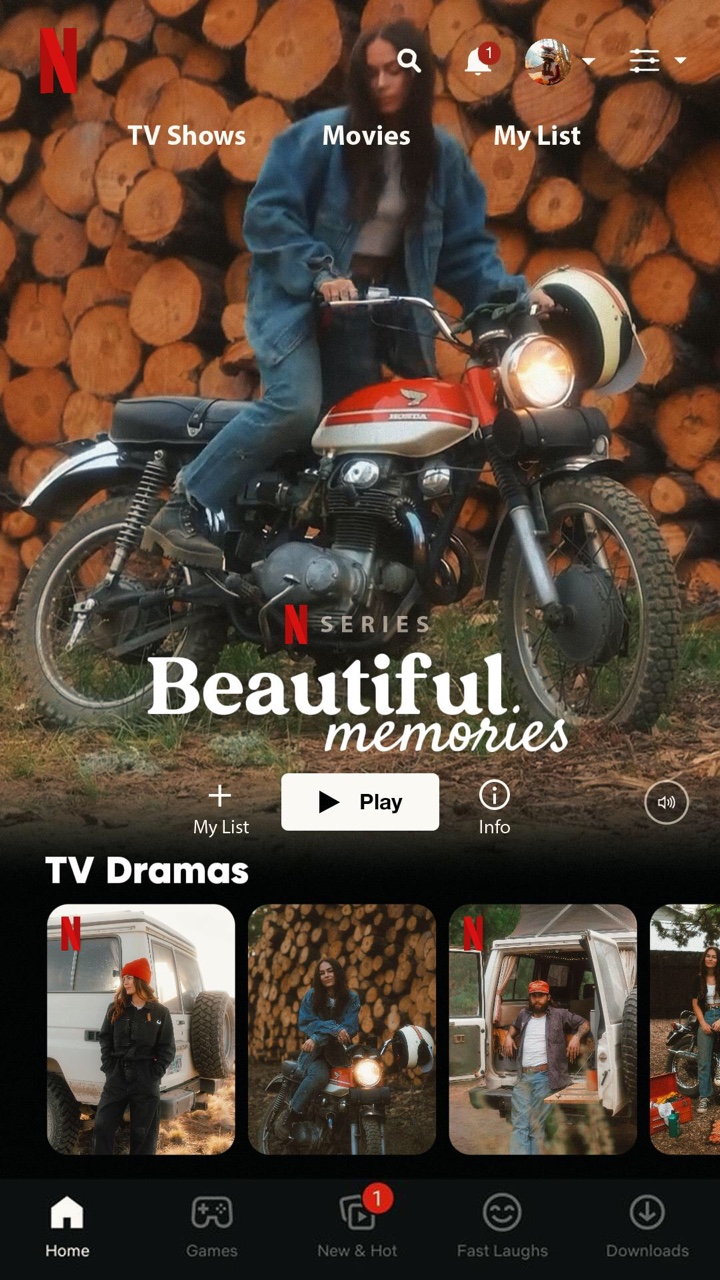 Netflix-Vorlage
