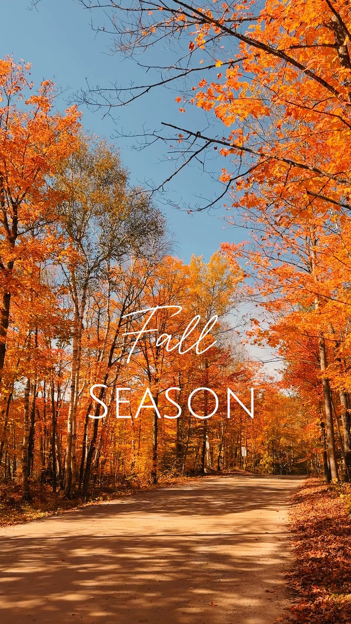 Temporada de otoño