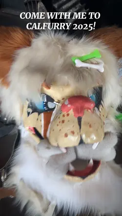 CALFURRY 2025!!