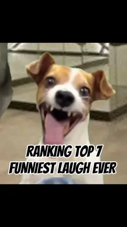 funniest laugh ever