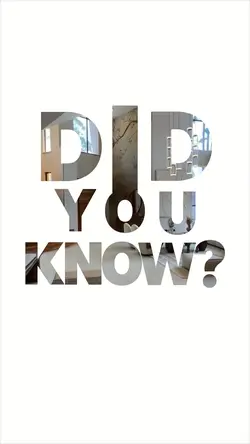 Did You Know?