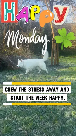 Monday Vibes 