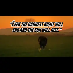 Your Darkest Night