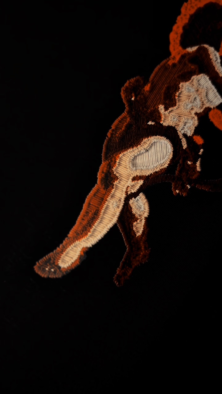 CAMISETA PREMIUM