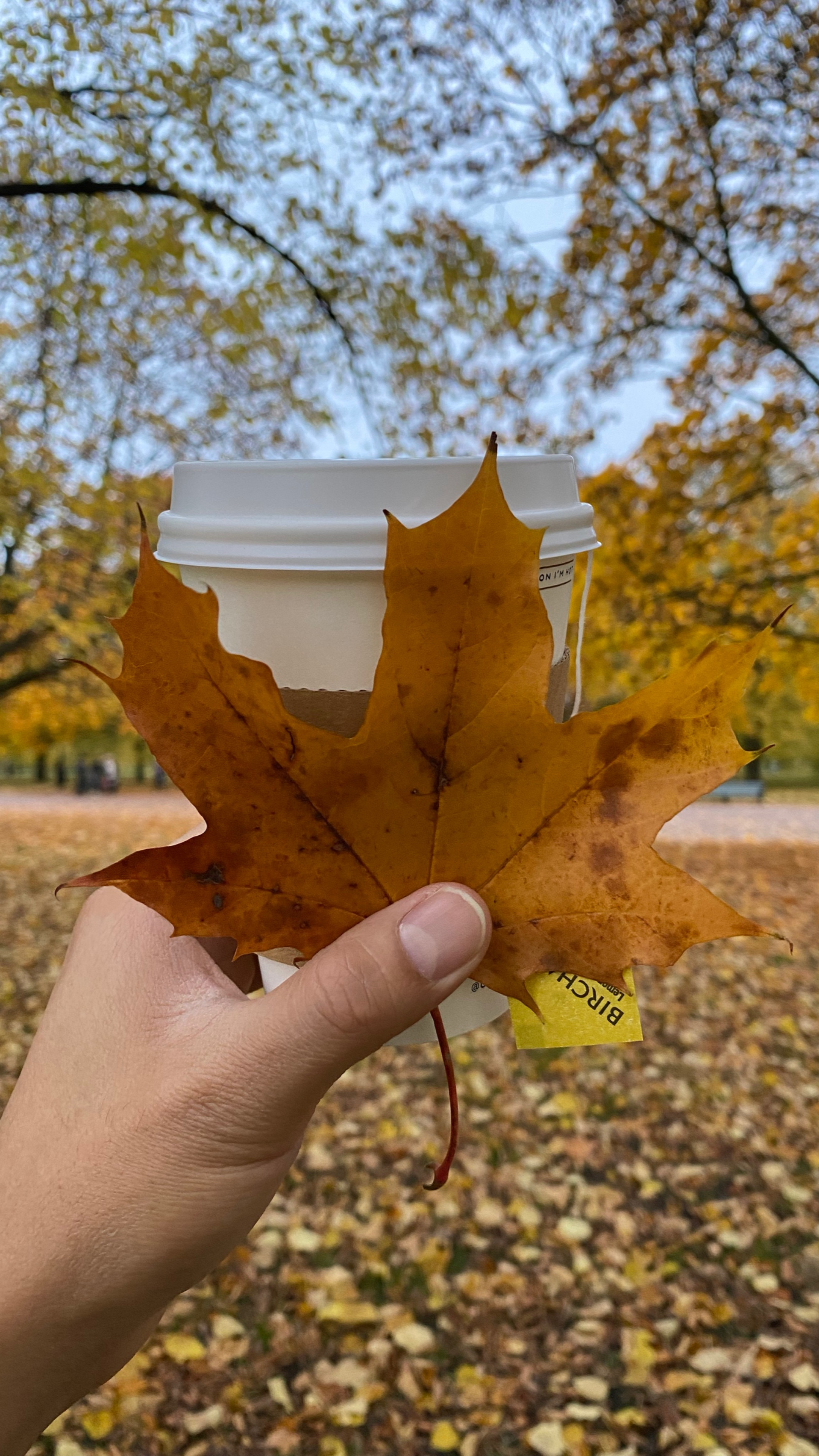 Autumn in London