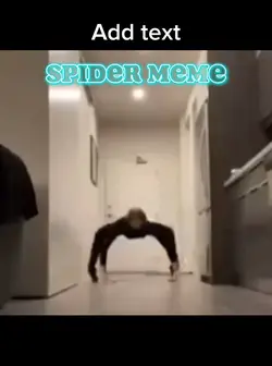 Spider meme