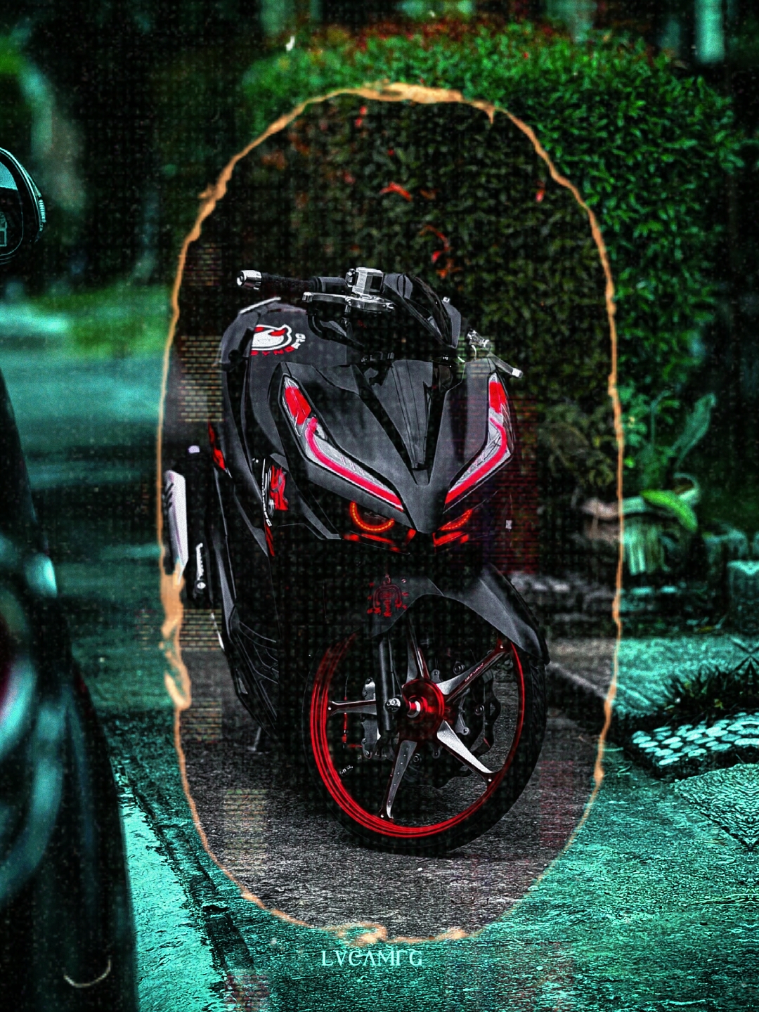 Cover Picture