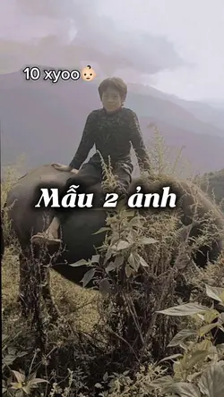 16 xyoo 👨🏻‍🌾