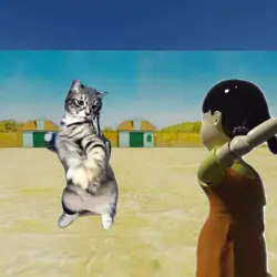 Red light green ligh