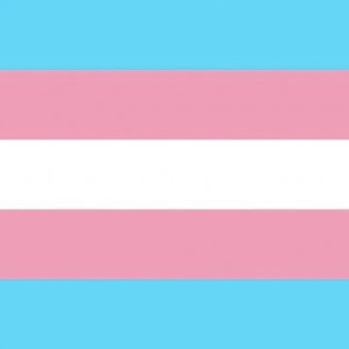 Creo q nadie me