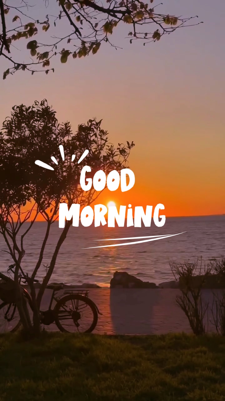 Bom Dia