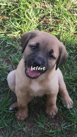before after