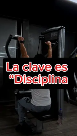 Disciplina 
