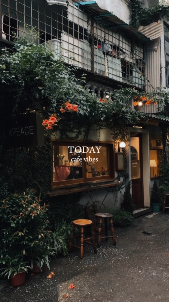 Hoje vibrações de café 