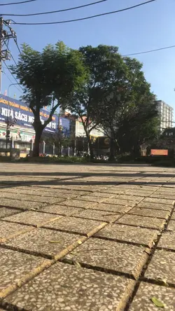 Giấy topgia sale