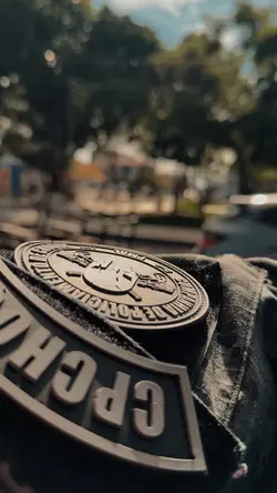 Motivação policial