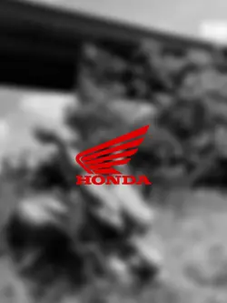 TREND HONDA