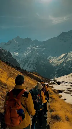 Travel Adventure