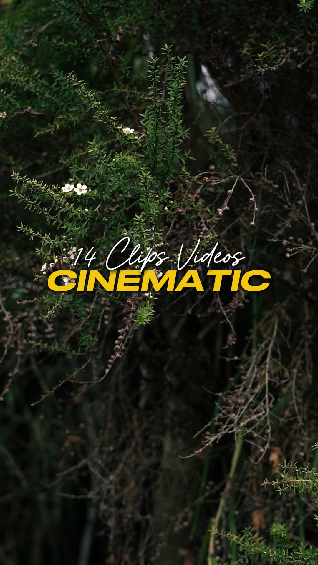 Cinematic 14 Vídeos