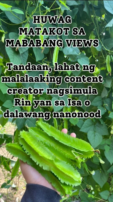 POSTINGAN FACEBOOK
