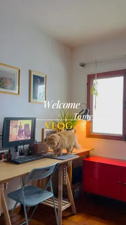 Opening vlog