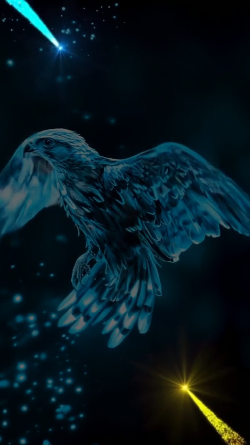 New Intro Hd 2025
