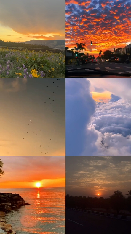 Kolase 6 video