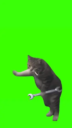 mechanic cat viral