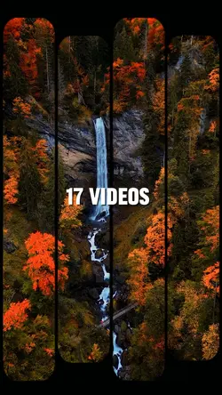 17 VIDEOS
