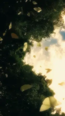 Slowmo dreamy