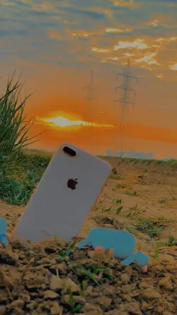 🥀سوہنا پنجاب 🌾