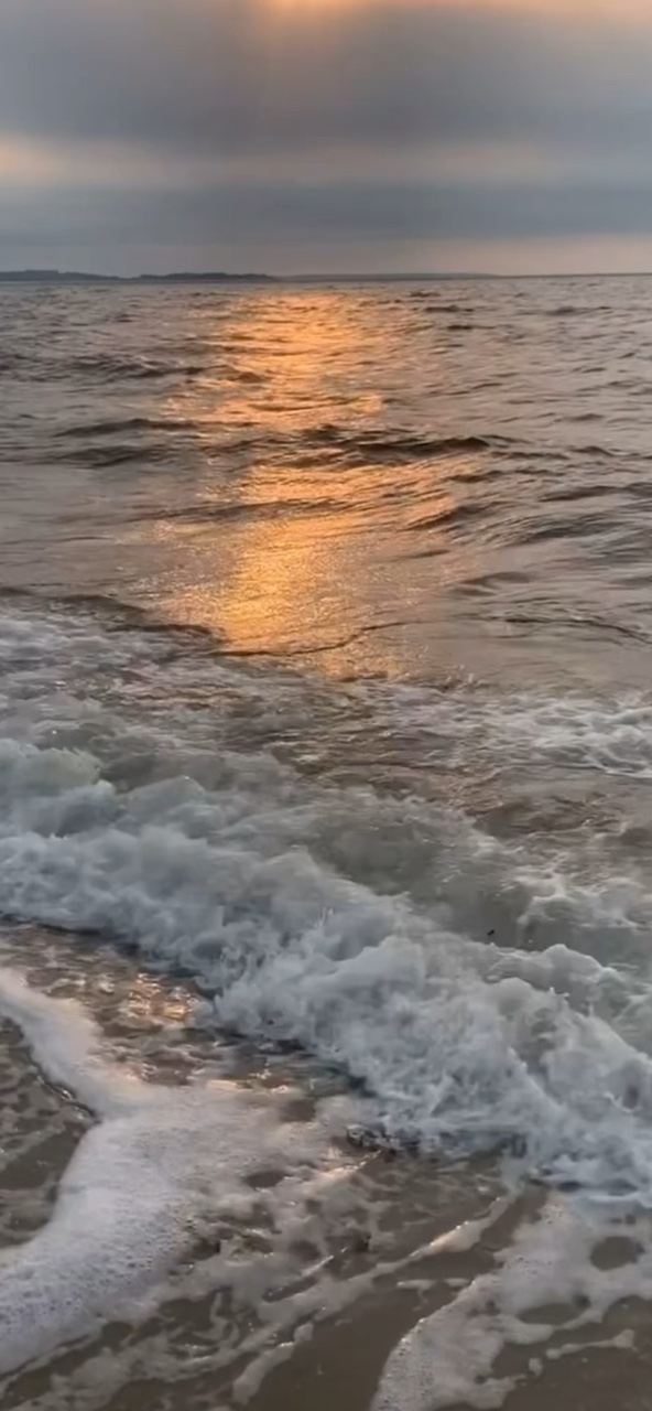 夏を振り返ろう！！