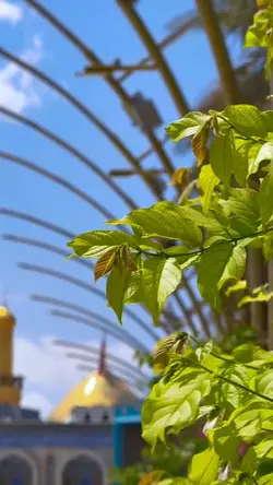 Karbala 