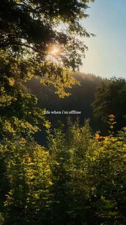 life when im offline