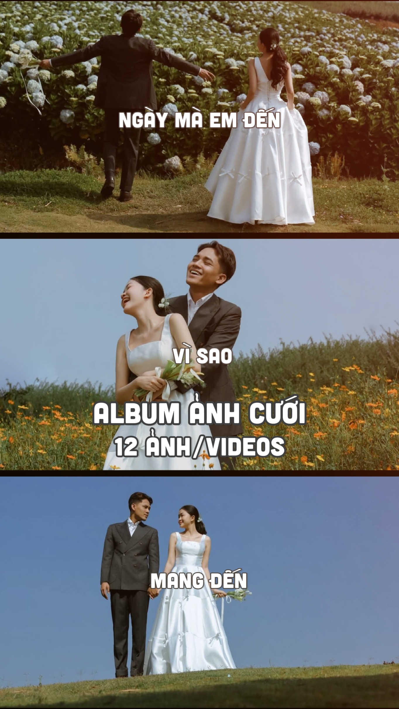 앨범