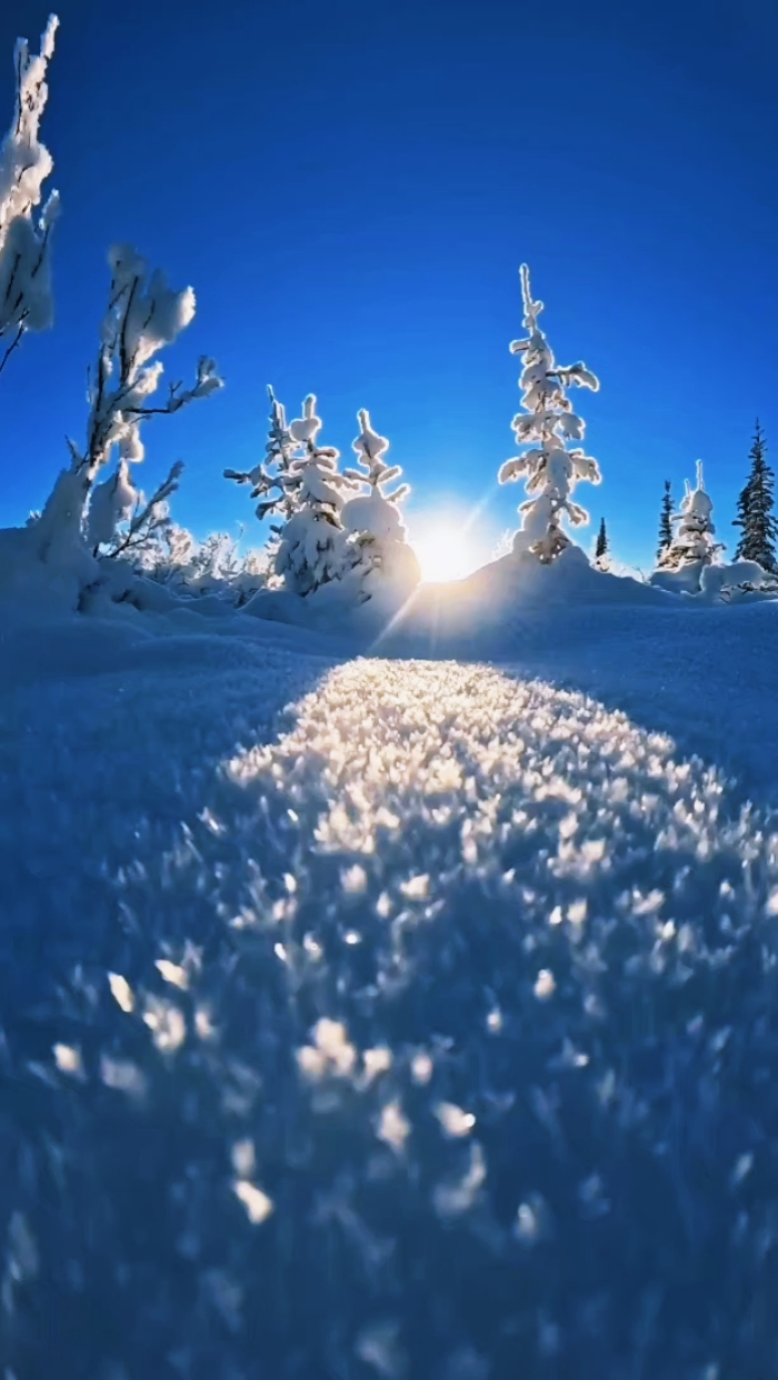 Vibras de invierno