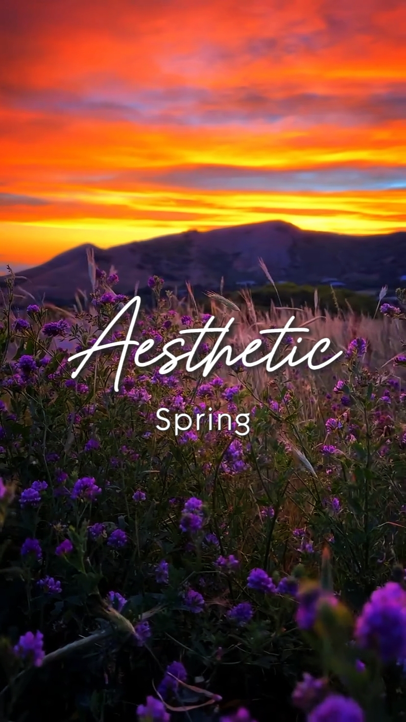 aesthetic spring
