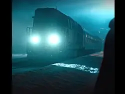 Lady John wick  edit