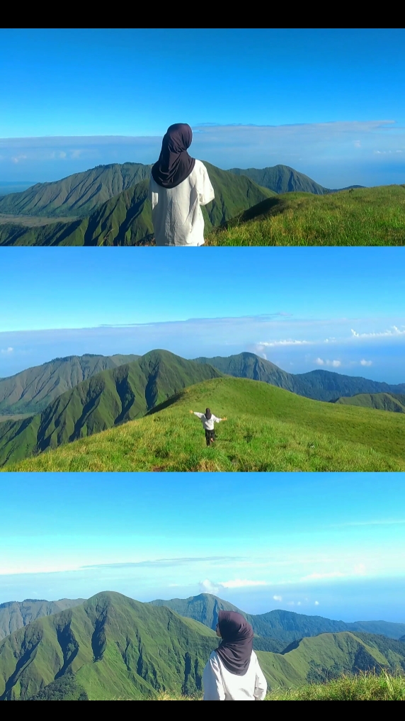 3Vid tata letak