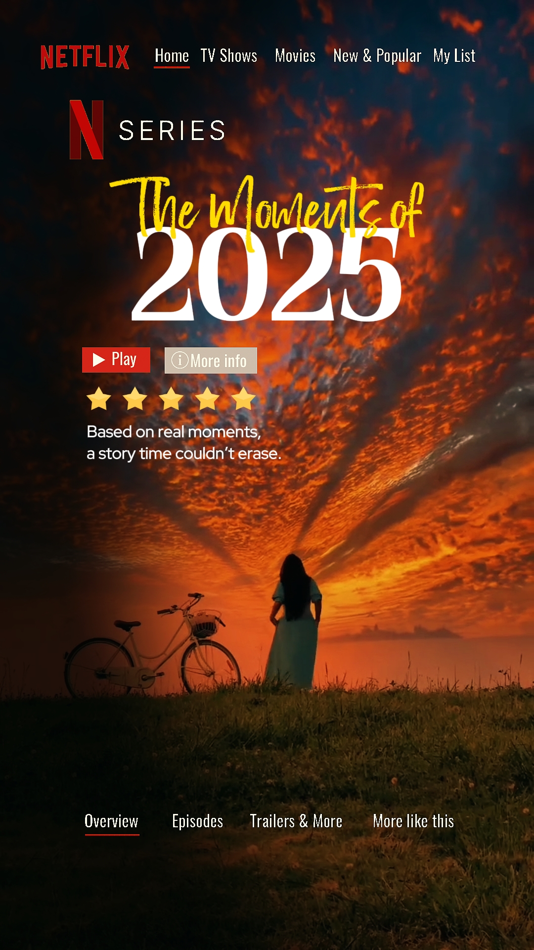 2025 넷플릭스 요약