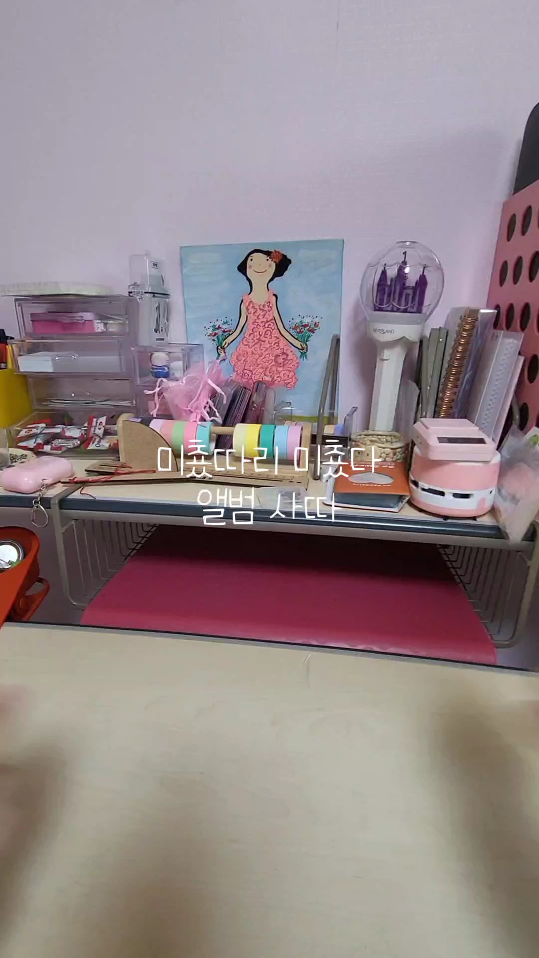 본격적인 덕질 브이로그으