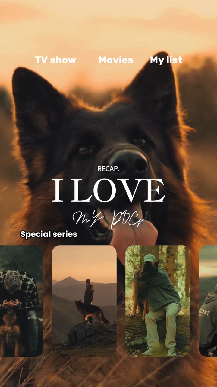 I love my dog hund
