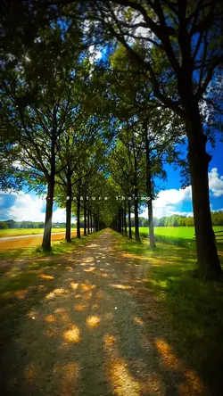 #Nature Therapy❤️