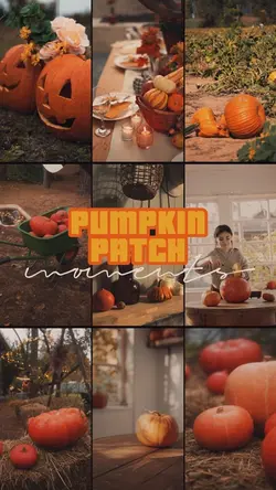 Pumpkin patch moment