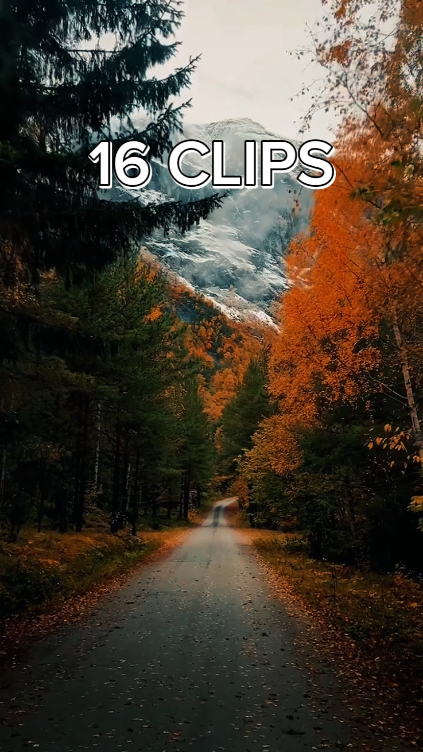 16 클립